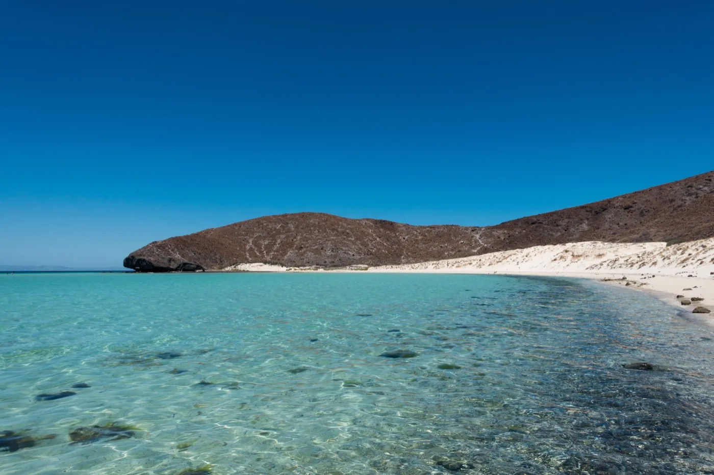 The shallow turquoise water at Balandra Beach